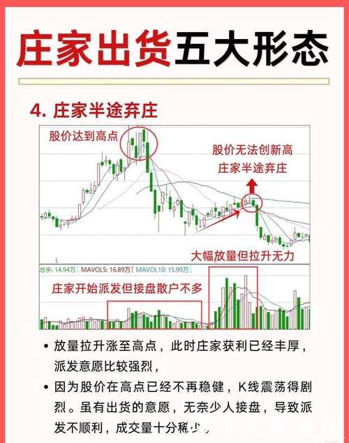 世界杯外围投注：投注后资金管理技巧分享